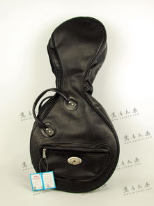 高級中阮琴包與精品中國二胡系列 民樂樂器箱包的專業選擇